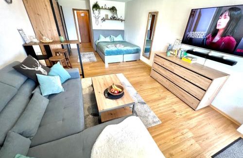 Mittelberg Apartment | Moderne, 1-Zimmer Ferienwohnung mit Bergblick