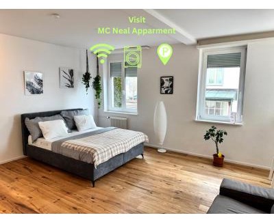 St. Gallen Apartment | Modernes, renoviertes Apartment nähe dem Zentrum kostenloses Parken