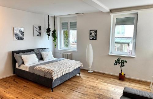St. Gallen Apartment | Modernes, renoviertes Apartment nähe dem Zentrum kostenloses Parken