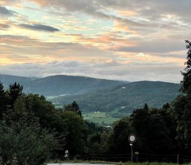 Schofweg Apartment | Modernes Top Apartment mitten im Bayerischen Wald + WLAN kostenfrei