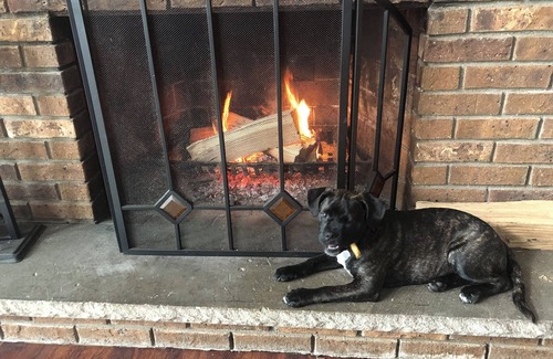 Sciota Ski Chalet | MOHAWK - Dog Lovers Fenced Yard Chalet
