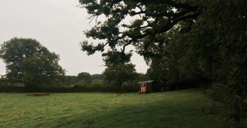 Trudoxhill House | Mollies Hut