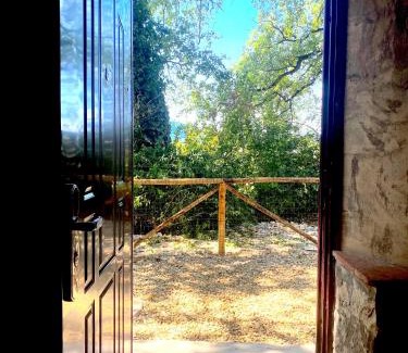 Ciliegi House | Mondo Pazzo