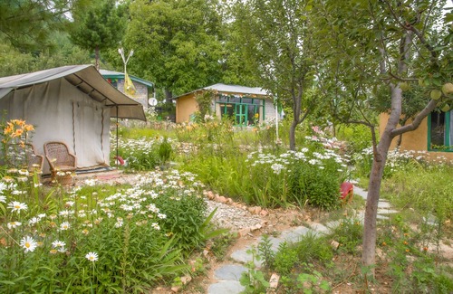 Kalpa RV Rental | Monk tent by LivingStone Swiss tent