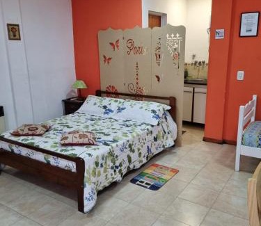 Gualeguaychu Apartment | Monoambiente con TV y Heladera