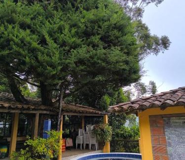 Medellin Cabin | Montaña Sanadora