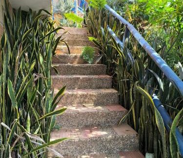 Medellin Cabin | Montaña Sanadora