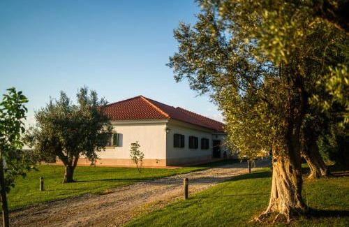 Alcacer do Sal House | Monte dos Rolas