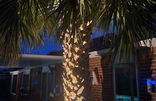 Navarre House | Montly 3600n2 Weeks 1900nPrivate in ground pool. 10 minutes to Beach/Golf