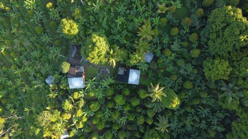 Munduk Other | Moondock Luxury Camp