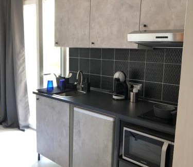 Quartiere XXXV Lido di Castel Fusano Apartment | Moonlight next Palapellicone tra mare e pineta monolocale