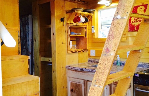 Newport Cabin | Moonshine Cabin tucked away on the Mountain,Great Location with private Hot Tub!