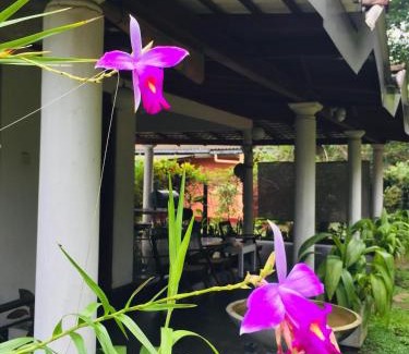 Unawatuna Apartment | Moonstar Villa