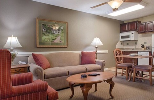 Williamsburg Apartment | More to do than you will have time for !
