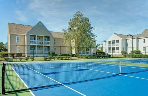 Williamsburg Apartment | More to do than you will have time for !