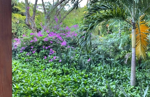 Piaye House | Moringa House at Balenbouche Estate, on 70 acres of beachfront property
