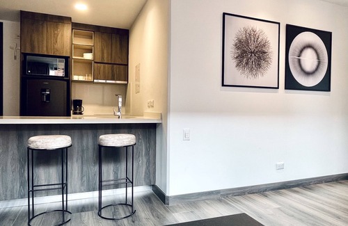Chico Norte III Condo | Morph By Wynwood House