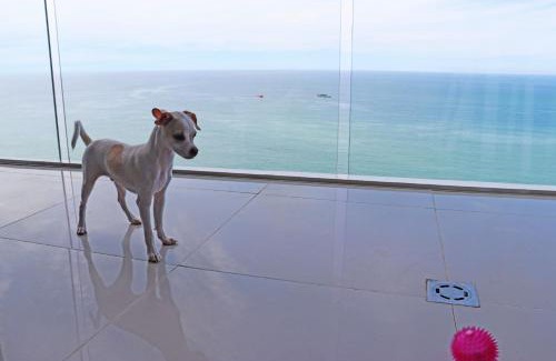 Bocagrande Apartment | Morros city bocagrande 2004