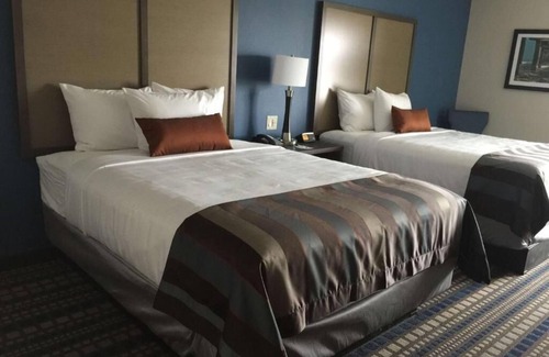 Bay Area Hotel | Mosib Hospitality