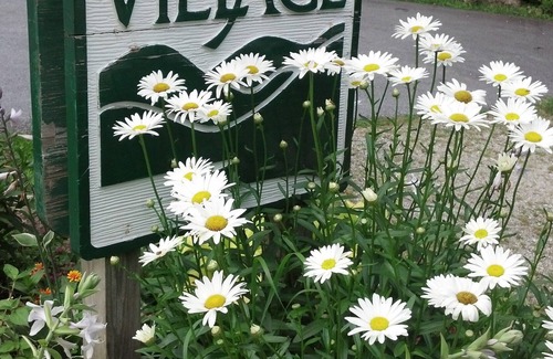 Cullowhee Cabin | Mossy Rock Cabin -secluded Location With Lake Glenville Access.