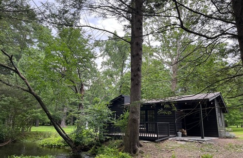 Lake Hill Cabin | Most Charming, Most quiet place in the Catskills-Willow-brook Cottage