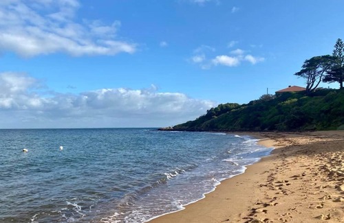 Mount Eliza Apartment | Mount Eliza Seaside Studio - Close to the beach