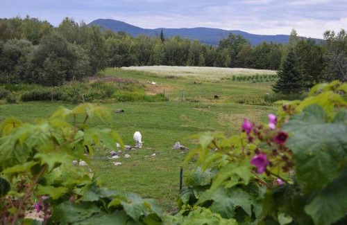 Sheffield House | Mount Harmony Farm Guest House