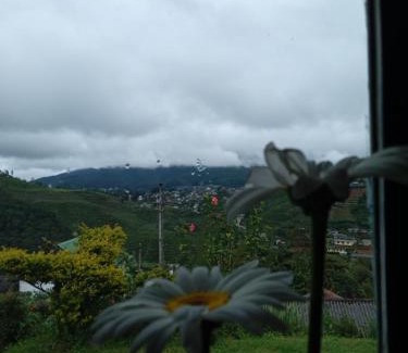 Nuwara Eliya Ski Chalet | Mount View Cottage