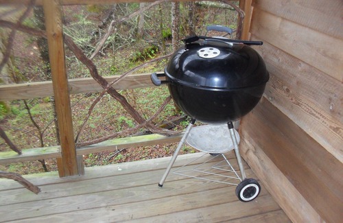 Hiawassee Cabin | Mountain Cabin, Hiawassee Ga 2 Bdr, 2 Ba, w/Loft, Trout Strm, App Trail, falls
