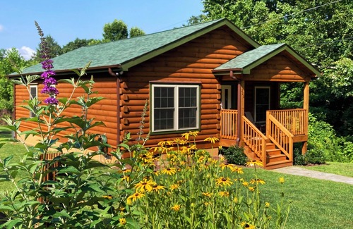 Asheville Cabin | Mountain Cabin - Minutes to Downtown Asheville