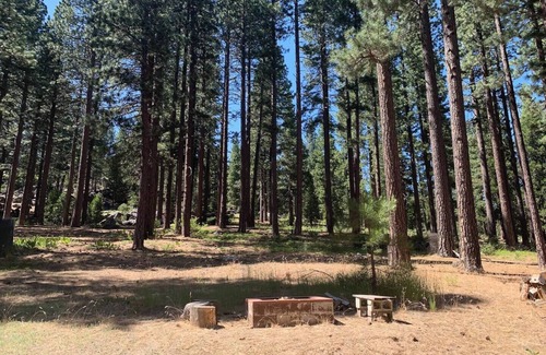 Calpine Cabin | Mountain Cabin with WiFi. Enjoy this quiet small-townnretreat