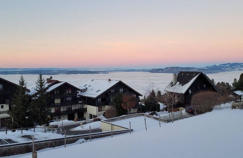 Thollon-les-Memises Ski Chalet | Mountain chalet 6 pers resort Thollon-les-Mémises vue lac Léman cosy/calme
