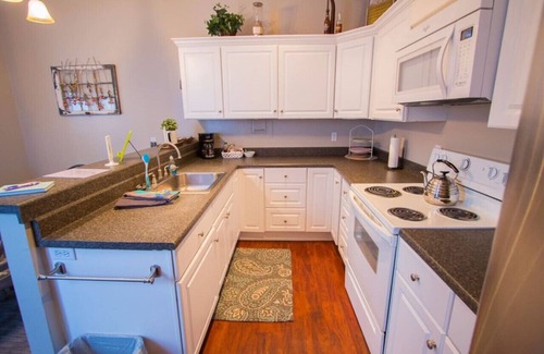 Glenwood Springs Apartment | 🏔MOUNTAIN CHARM - 2 BDR Apt KITCHEN Downtown GWS