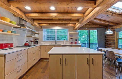 Black Mountain Cabin | Mountain Cove | Hot Tub Log Cabin for Groups Near Black Mtn + Biltmore Pass