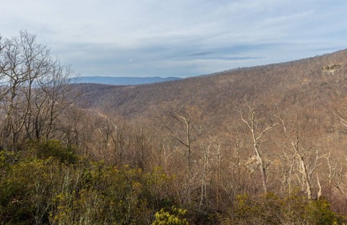 Nellysford House | Mountain Gem is a Home with a View