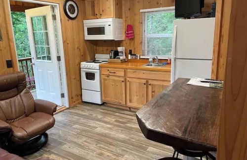 Topton Cabin | Mountain Hideaway Cabin 221