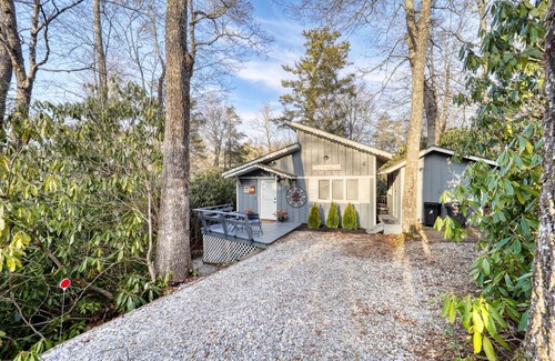 Newland House | Mountain house sleeps 4 w/deck & firepit, 5mi to Grandfather Mtn, pet friendly!