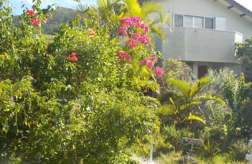 Fukai House | mountain hut /Ishigaki Okinawa