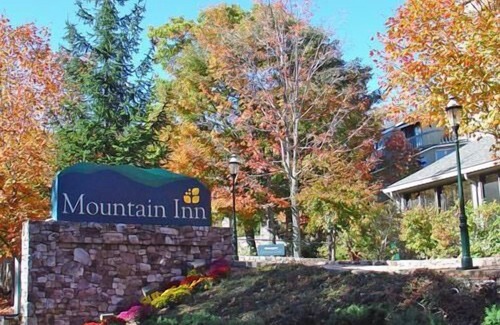 Wintergreen Condo | Mountain Inn Studio 97 with Wintergreen Advantage