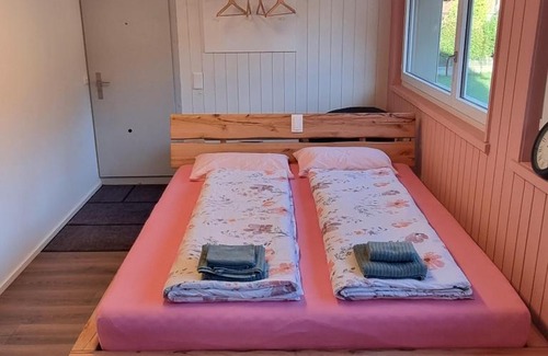 Wilderswil Apartment | Mountain - Lake Apartment 3