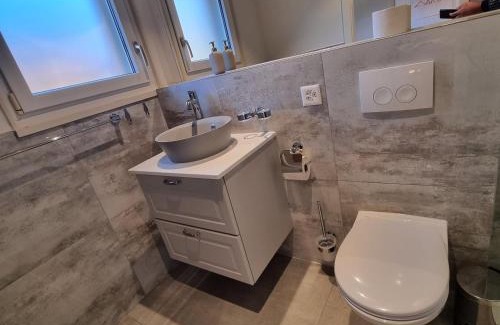 Wilderswil Apartment | Mountain - Lake Apartment 3