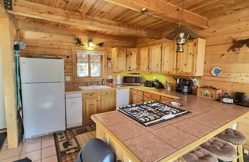 Leadville North Cabin | Mountain Log Home-Among Lodgepole Pines