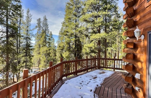 Leadville North Cabin | Mountain Log Home-Among Lodgepole Pines