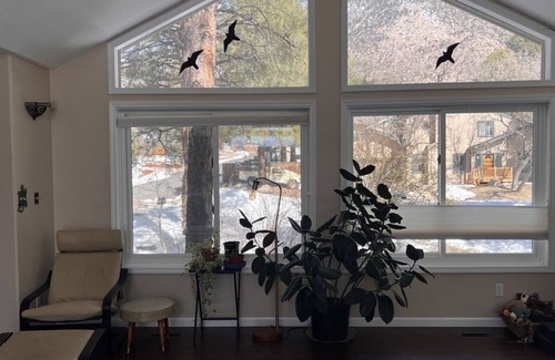 Swiss Manor House | Mountain oasis with stunning views and great access to hiking trails