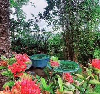 Bandarawela House | Mountain Paradise Homestay