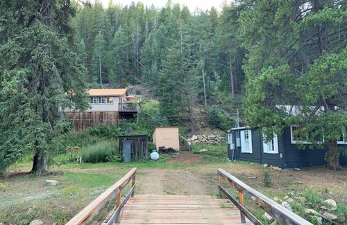 Pinecliffe Cabin | Mountain Retreat, Private trout creek, Fast WiFi
