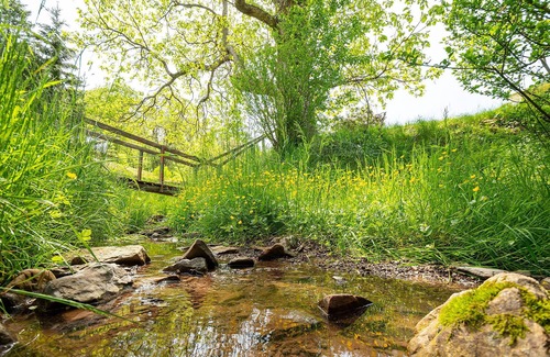 Rowlesburg House | Mountain Serene Views and Creek-side Charm - Pet Friendly