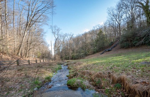 Skyland Cottage | Mountain Shadows Creekside Retreat: A peaceful cottage in with fire pit, right on the creek!
