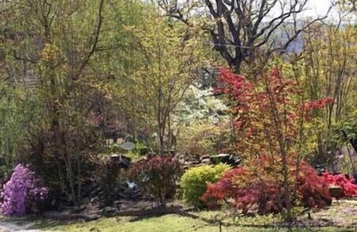 Eureka Springs Cottage | Mountain Side Eureka Springs Cottage on 20 Amazing Acres just minutes from Lake