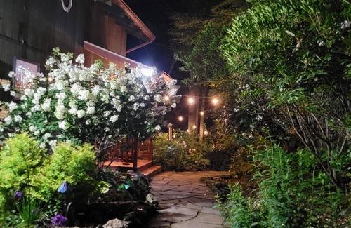 Sylva Cabin | Mountain Top Cabin with a View that is Centrally Located in Western Carolina.